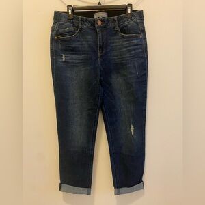 Wit and Wisdom Women's Blue Jeans- Size 10
